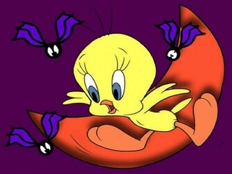 Birds Wallpaper Photos Tweety Bird