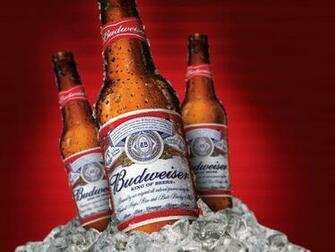 Bud Background Wallpaper For Desktop
