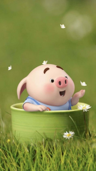 A Piggy Waiting For Tasty Snack Wallpaper