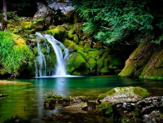 Jungle Background By Elmo963