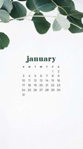 January Calendar Wallpaper Designs To Choose From