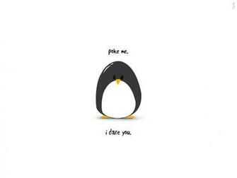 Wallpaper Cute Penguin HD Background