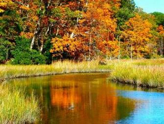 Fall On The Country Road Wallpaper