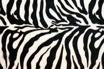 Amper Bae Zebra Print Background