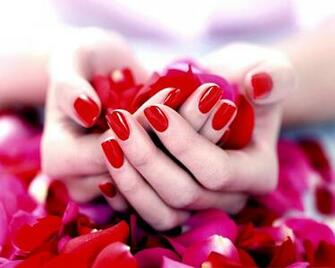 Read Fresh Medical News Hand Wallpaper Flowers