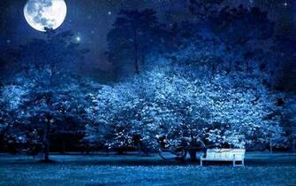 Blue Night Moon Bench Wallpaper