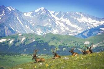 Rocky Mountain National Park