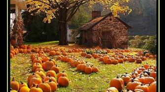 Pics Photos Autumn Harvest HD Wallpaper