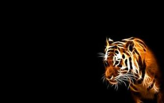 Tiger Jpg