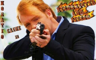 Horatio Caine David Caruso Wallpaper