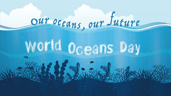 International World Oceans Day HD Pictures And Ultra Wallpaper