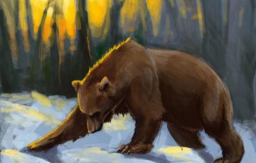 Wallpaper Forest Snow Sunset Bear Art The Sun S Rays Brown