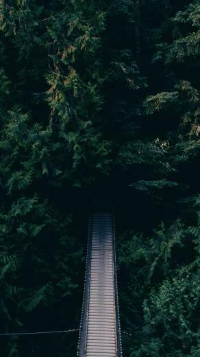 Suspended Forest Bridge iPhone Plus HD Wallpaper Ipod