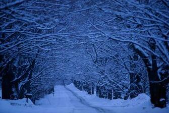 Winter In Vermont Wallpaper HD Wallapaper