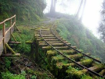 Taiping Mountain Forest Railway HD Wallpaper Nature