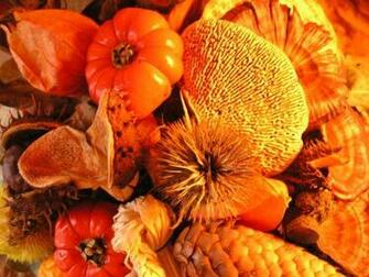 Thanksgiving Background