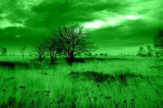 Wallpaper Grass Desktop