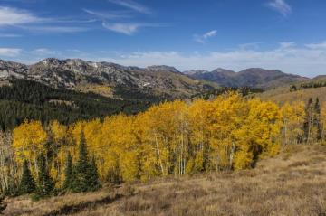 Guardsman Pass Park City Utah 4k Wallpaper