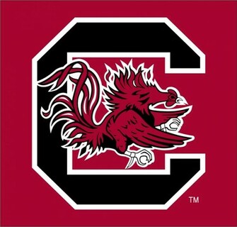 Sc Gamecock Baseball