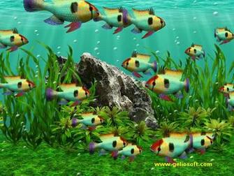 3d Screensaver And Wallpaper With Mikrogeophagus Ramirezi