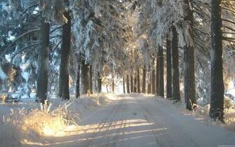 Windows Desktop Background Winter Wallpaper