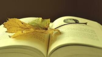 Wallpaper Book Autumn Pastel Leaf Beautiful Wide On