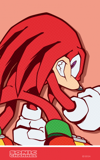 Knuckles The Echidna Wallpaper HD