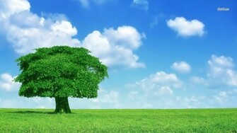 Lone Oak Wallpaper Digital Art