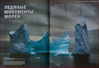 Iceberg Lettuce Deseases Photos History Purse