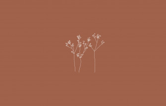 Aesthetic Plain Wallpaper