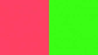 Neon Coral Color Background Fuchsia And Green Two