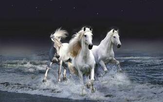 Desktop Wallpaper Full HD Size 1080p