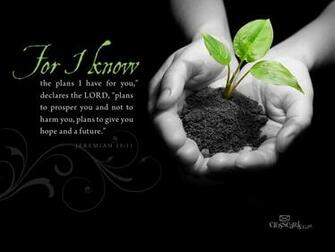 Know The Plans Desktop Wallpaper Scripture Verses Background