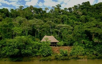 Booth Ecuador Wallpaper Rain Forest Stock Photos