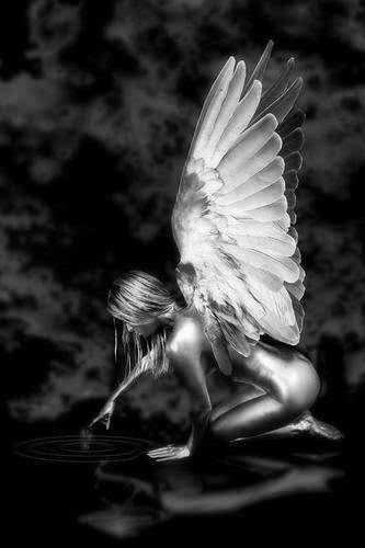 User Cell Phone Wallpaper Black White Angel Cute