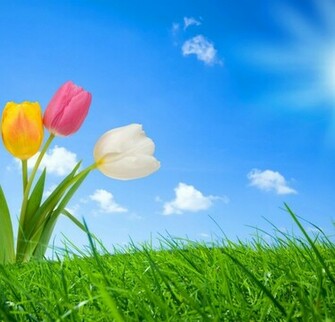 Spring Nature Wallpaper HD