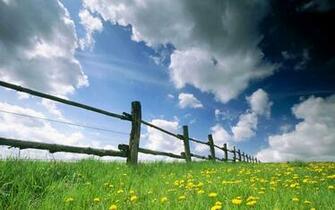 Spring Wallpaper Background