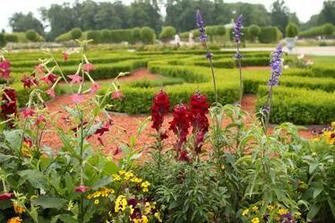 Better Homes And Gardens Wallpaper Border High Definition