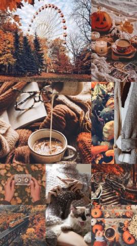 Cute Brown Aesthetic Wallpaper For Phone Autumn I Take