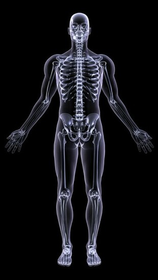 Xray Skeleton iPhone Wallpaper