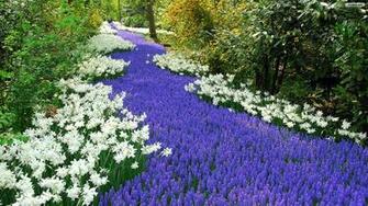 Spring Garden Wallpaper