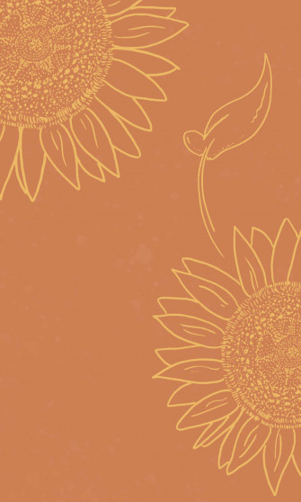 Peach Colored Sunflower Aesthetic iPhone Wallpaper