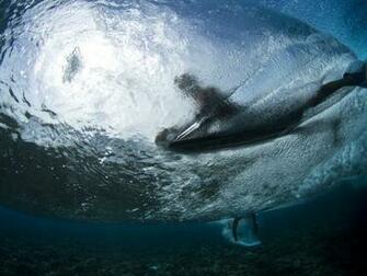 Napco Global Boardsports Distributor