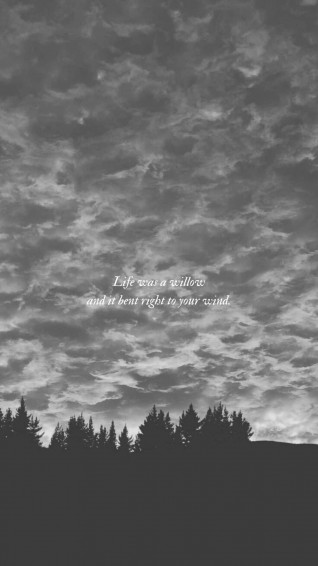 Taylor Swift Lyrics Wallpaper