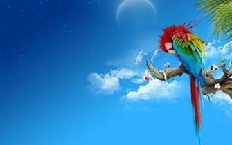 Wallpaper Parrot Colorful Feathers Thread Sit