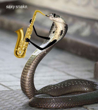 People Are Doodling On Snake Pics And The New Scenarios