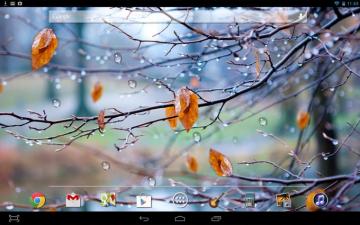 Autumn Raindrops Wallpaper Teahub Io