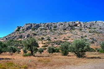 Prehistoric Background Ing Gallery