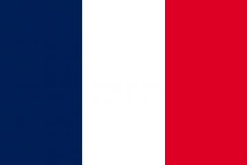 French Teneo Translations