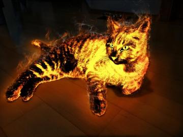 Flaming Cat Wallpaper On